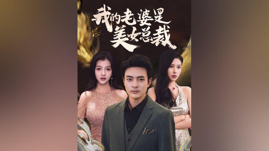 （新）我的老婆是美女总裁